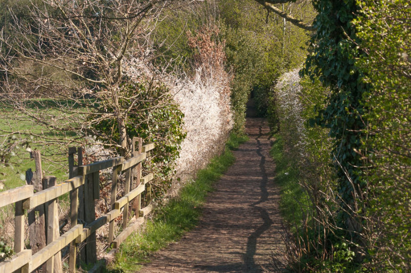 A public footpath near our home in Bookham