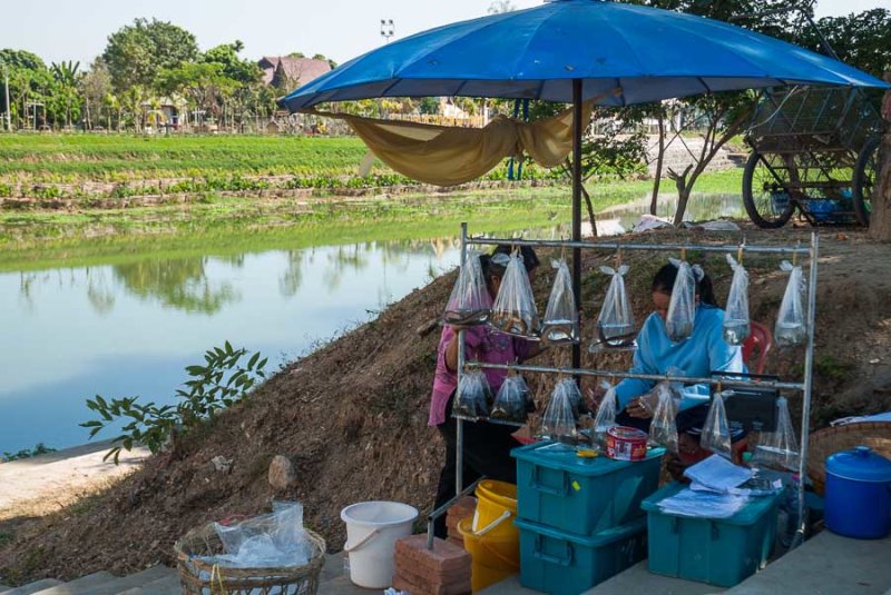 Riverbank stall outside Chiang Mai