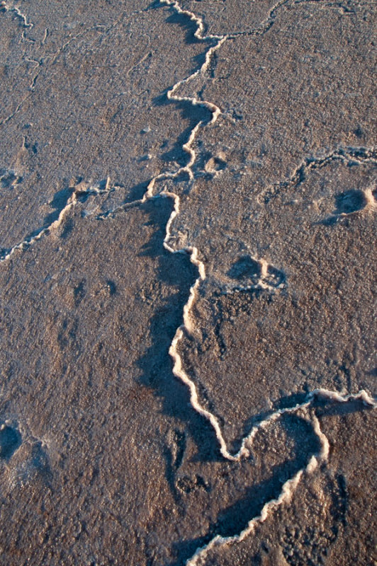 Patterns in the salt crust at Lake Tyrrell