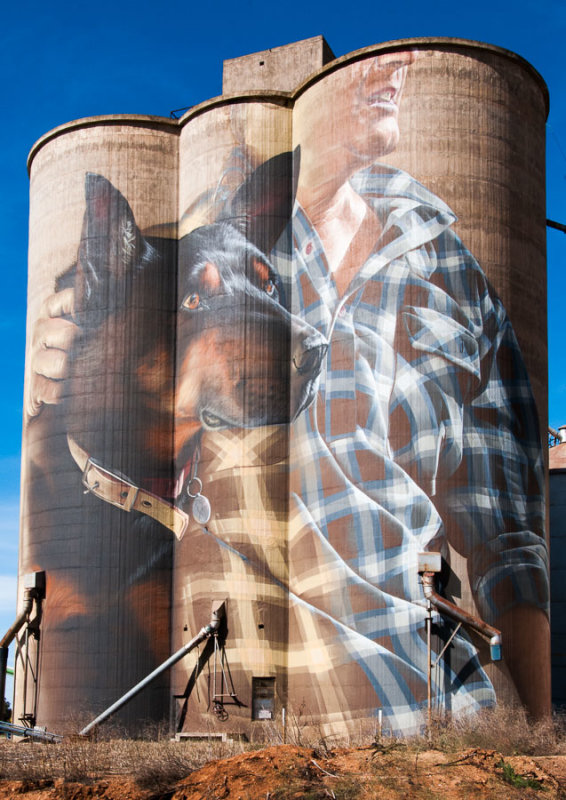 Silo art by Smug at Nullawil depicts a kelpie with its master