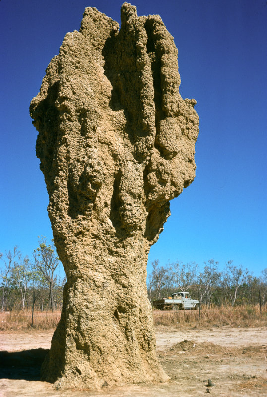 Giant anthill, Stuart Highway, Northern Territory