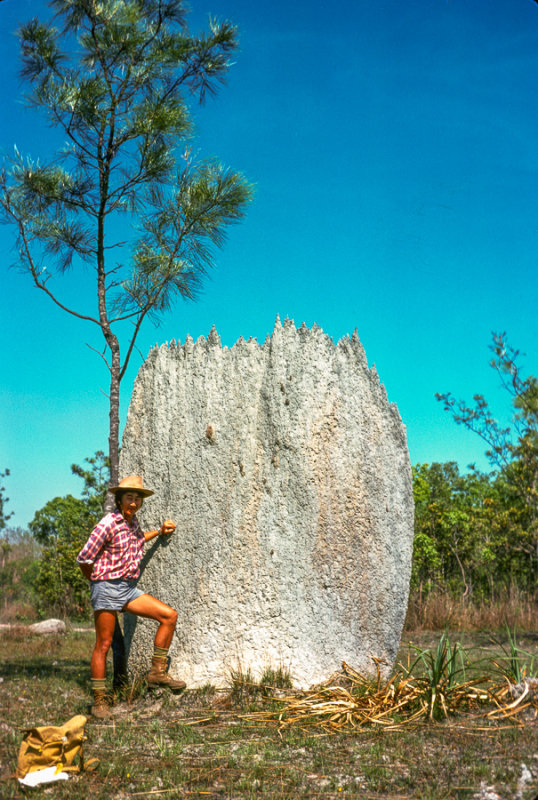 Geologist Bill at a magnetic termite mound, Northern Territory