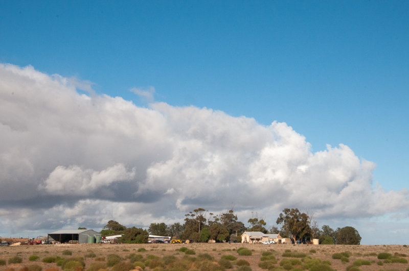 Isolated farmhouse, southeastern South Australia