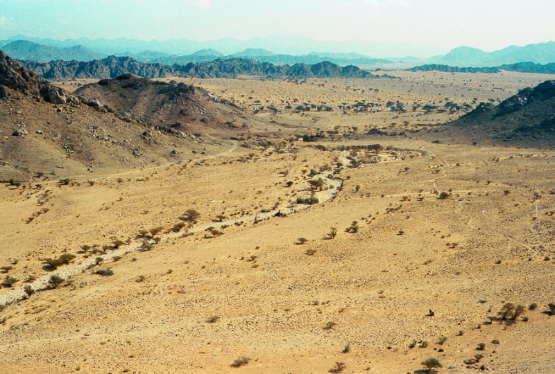 Fossil Valley (Jebel Huwayah) east of the Omani border town of Buraimi