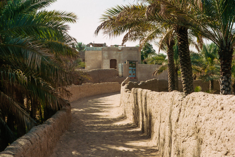Traditional back lane in the Omani oasis town of Buraimi