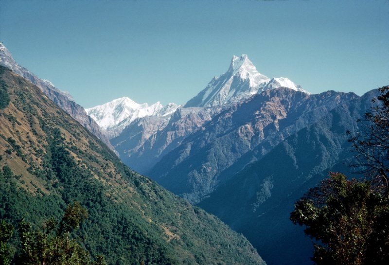 Machhapuchhre (Machapuchare or Fish Tail) from the Mardi Khola Valley, Nepal