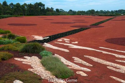 The Red Sand Garden evokes landscapes of the Central Australian desert.  Cranbourne Gardens, SE of Melbourne 