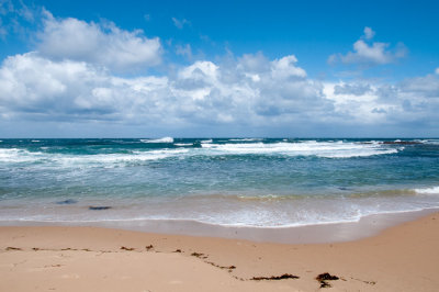Great Australian Beaches