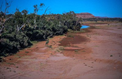 Dry bed of the Finke River, Central Australia, 1970