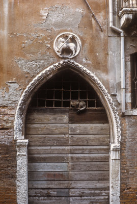 Traditional doorway and cat, Venice, Italy