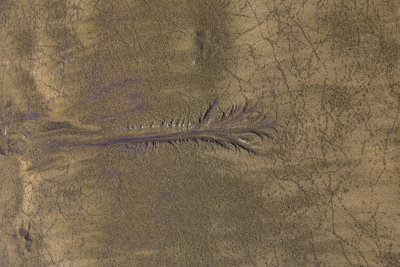 An interesting shape in the Sand