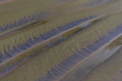 Colors in the sand after a high tide