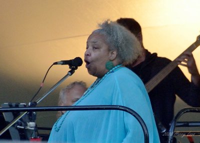 Wanda Houston Under the Stars 16