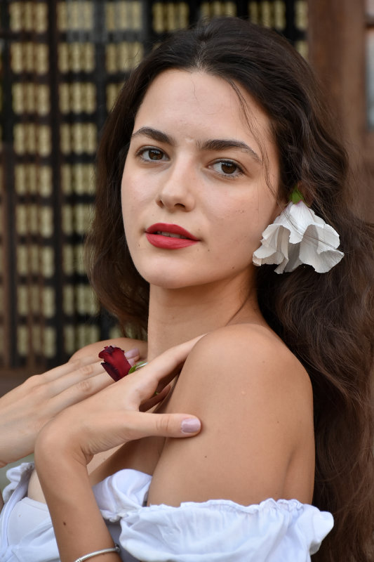 Stefanija