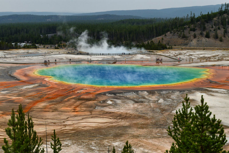 WY - Yellowstone NP Grand Prismatic Spring 1.jpg