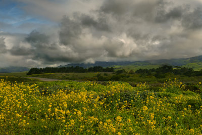 CA - Big Sur Cayucos 1.jpg