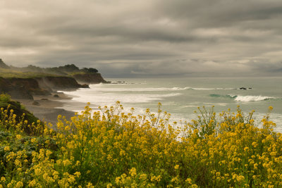 CA - Big Sur Cayucos 2.jpg