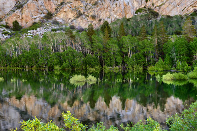 CA - Grant Lake 1.jpg