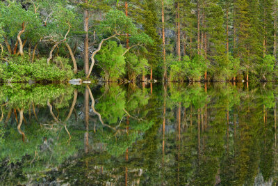 CA - Silver Lake 4.jpg