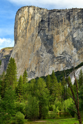 CA - Yosemite NP El Capitan 2.jpg