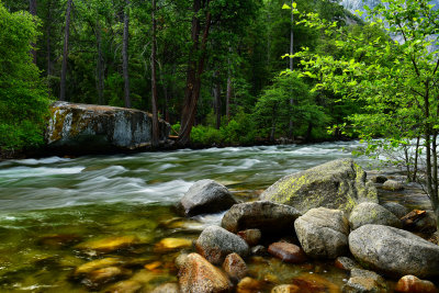 CA - Yosemite NP Merced River 4.jpg