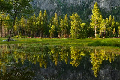 CA - Yosemite NP Pond Reflection.jpg