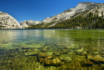CA - Yosemite NP Tenaya Lake.jpg