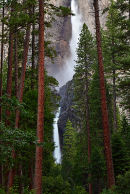 CA - Yosemite NP Upper & Middle & Lower Yosemite Falls 4.jpg