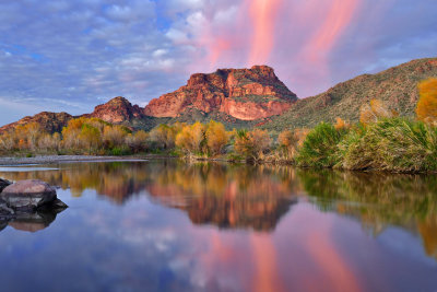 AZ - Mesa Salt River 4.jpg