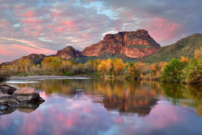 AZ - Mesa Salt River 5.jpg