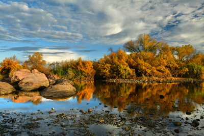 AZ - Mesa Salt River 7.jpg