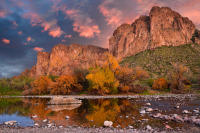 AZ - Mesa Salt River 8.jpg