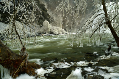 NY - Ithaca Falls Icey Trees 1.jpg