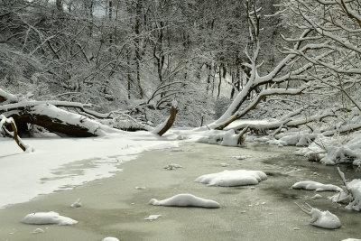 NY - Lockport Snowy 18 Mile Creek 1.jpg