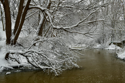 NY - Lockport Snowy 18 Mile Creek 2.jpg