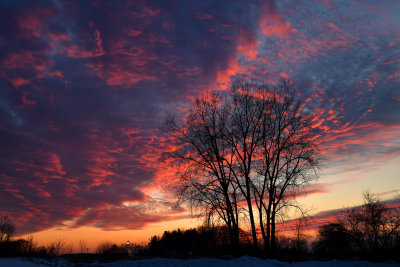 NY - Lockport Winter Sunset.jpg