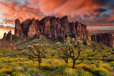 AZ - Lost Dutchman State Park Superstion Mountains 2.jpg