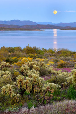 AZ - Roosevelt Lake Full Moon.jpg