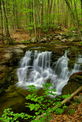 PA - McIntyre Wild Area Miners Run Waterfall 1.jpg