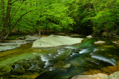 PA - McIntyre Wild Area Rock Run 1.jpg