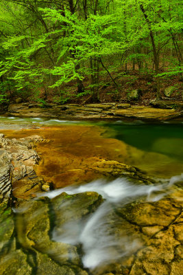 PA - McIntyre Wild Area Rock Run 3.jpg