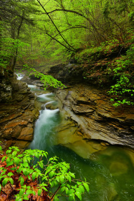PA - McIntyre Wild Area Rock Run 5.jpg