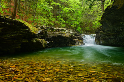 PA - McIntyre Wild Area Rock Run 7.jpg