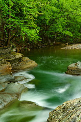 PA - McIntyre Wild Area Rock Run 9.jpg