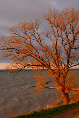 NY - Lake Ontario Winter 2.jpg
