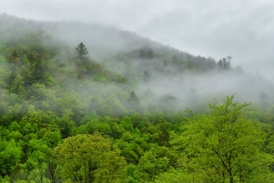PA - Jim Thorpe Foggy Mountains.jpg