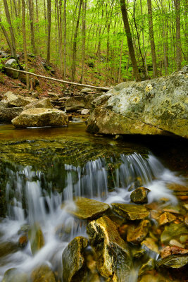 PA - McIntyre Wild Area Miners Run Cascade 1.jpg