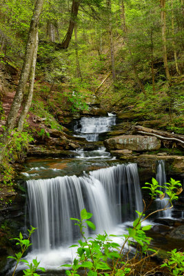 PA - Ricketts Glen SP Deleware Falls.jpg