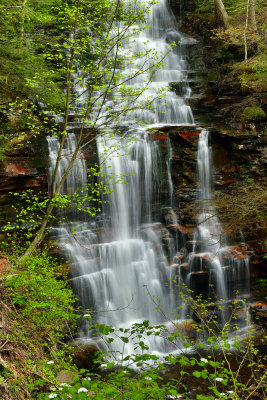 PA - Ricketts Glen SP Ganoga Falls 2.jpg