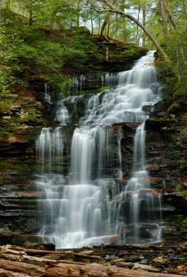 PA - Ricketts Glen SP Ganoga Falls 3.jpg